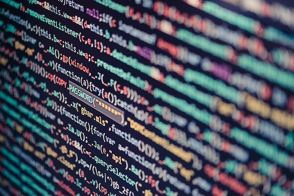 Computer screen displaying program code, website development, application building, password and private data